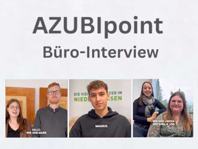 Warum hast du dich für ein Büro-Job entschieden?